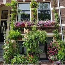geveltuin2.jpeg
